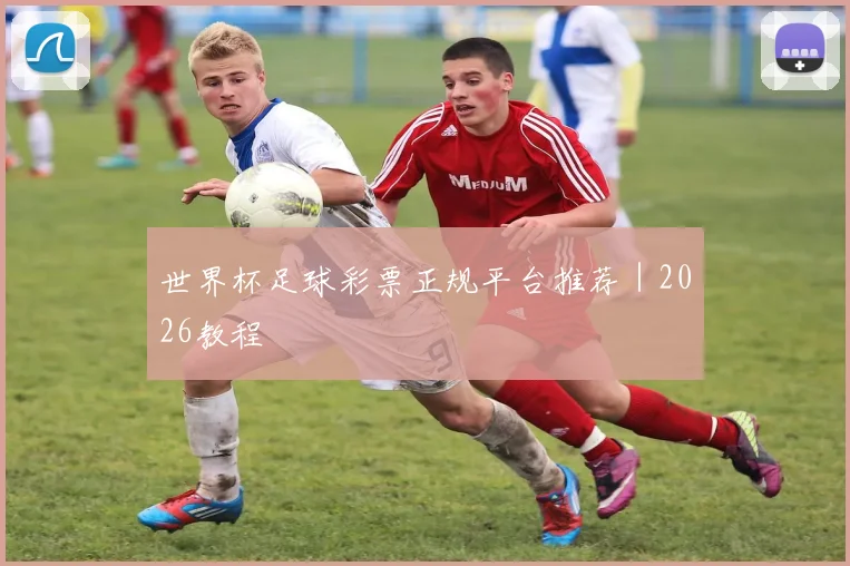 世界杯足球彩票正规平台推荐｜2026教程