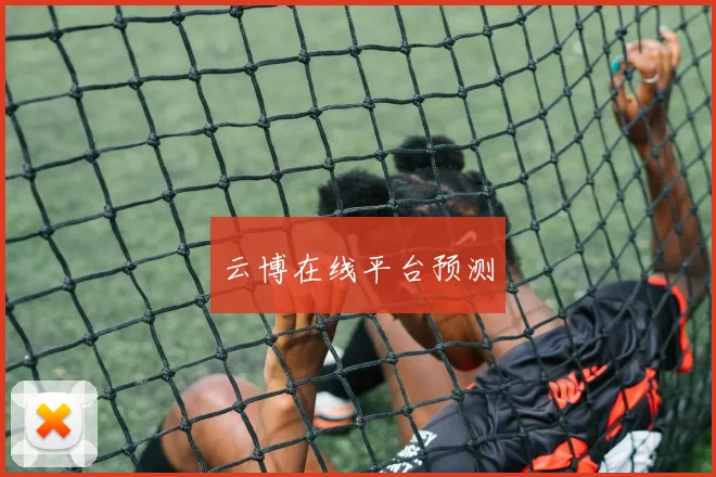 云博在线平台预测