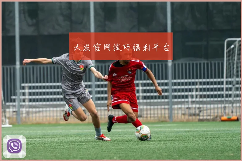 大发官网技巧福利平台