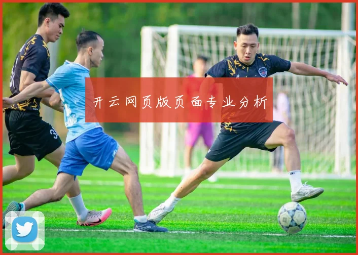 开云网页版页面专业分析