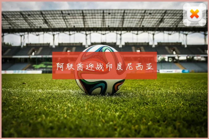 阿联酋迎战印度尼西亚