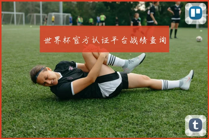 世界杯官方认证平台战绩查询
