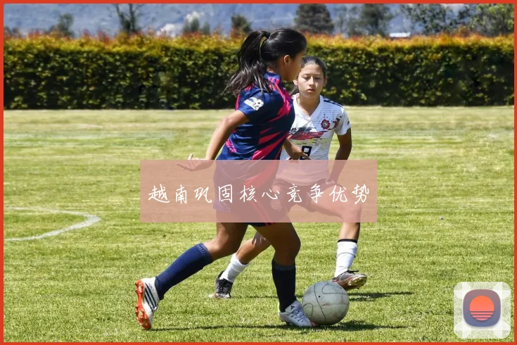 越南巩固核心竞争优势
