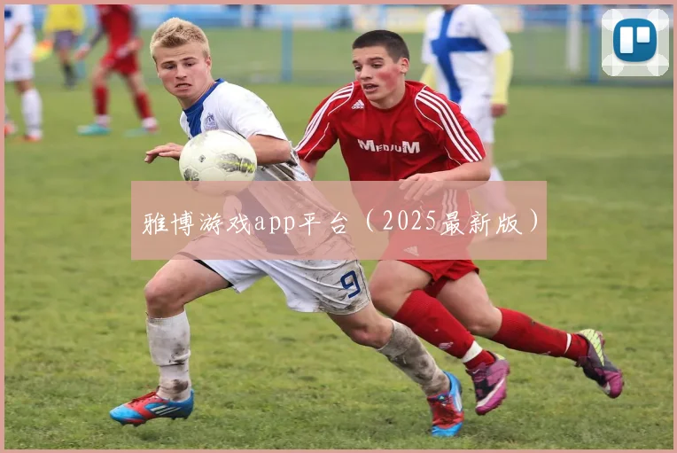 雅博游戏app平台（2025最新版）