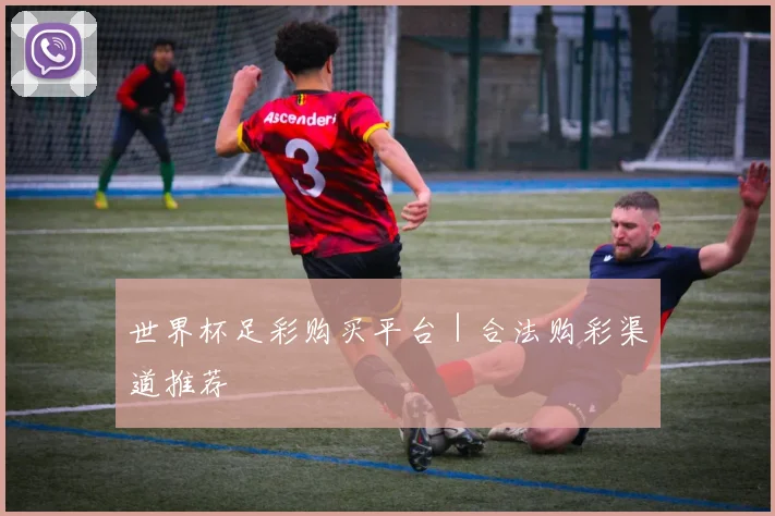 世界杯足彩购买平台｜合法购彩渠道推荐