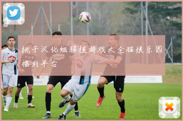 桃子汉化组移植游戏大全猫娘乐园福利平台