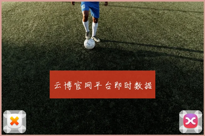 云博官网平台即时数据