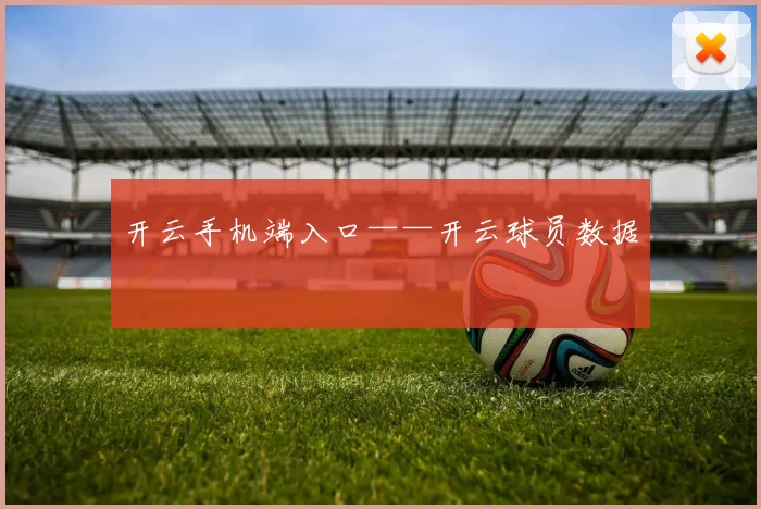 开云手机端入口——开云球员数据