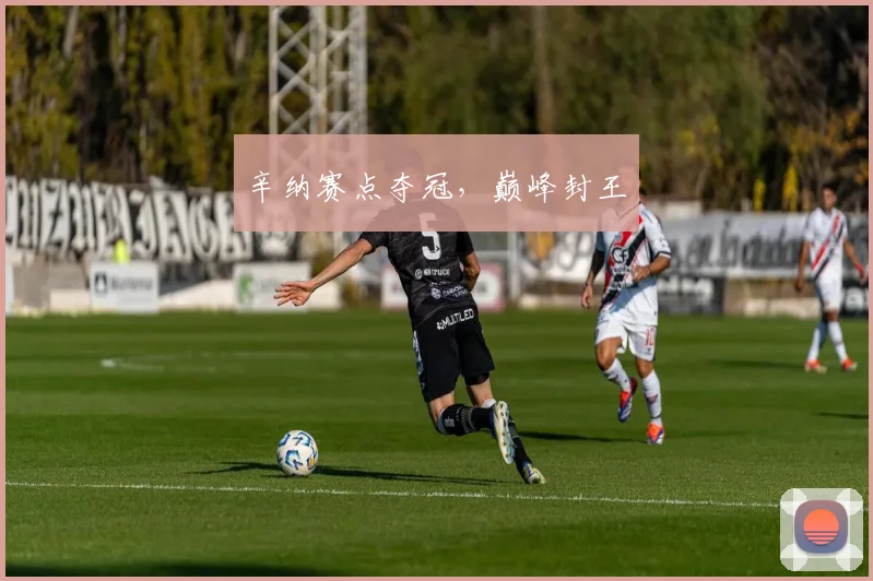 辛纳赛点夺冠，巅峰封王