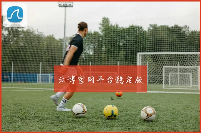 云博官网平台稳定版