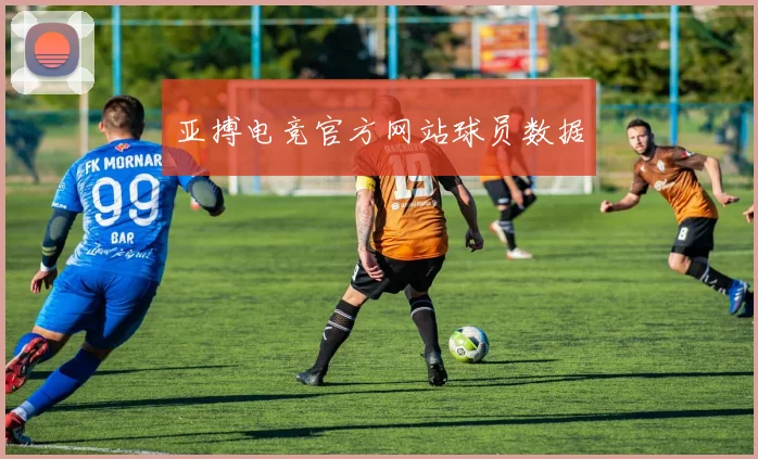 亚搏电竞官方网站球员数据