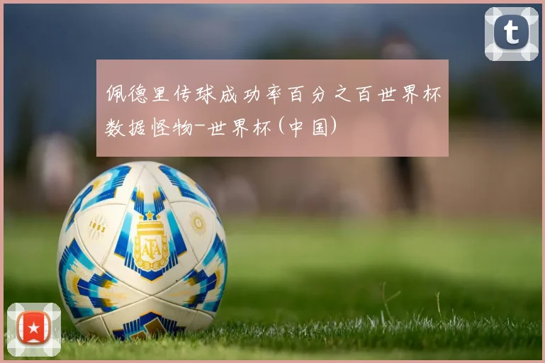 佩德里传球成功率百分之百世界杯数据怪物-世界杯(中国)
