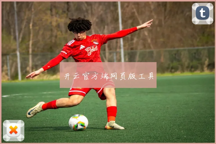开云官方端网页版工具