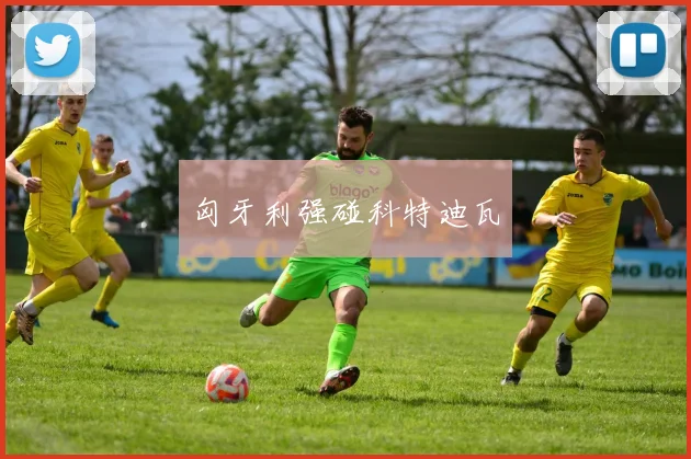 匈牙利强碰科特迪瓦