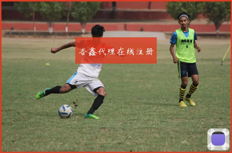 杏鑫代理在线注册