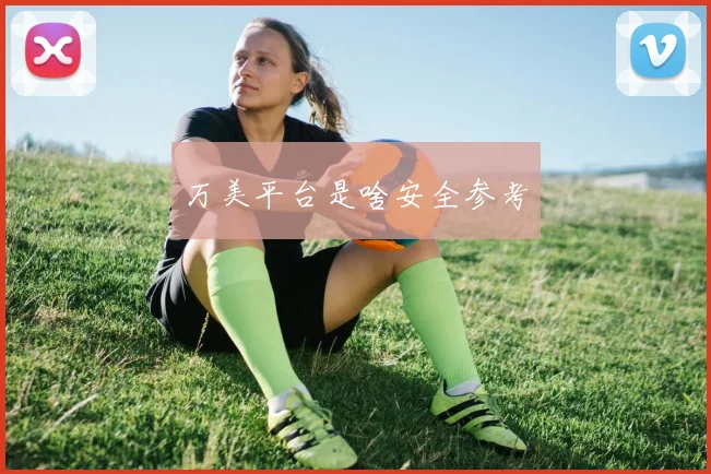 万美平台是啥安全参考