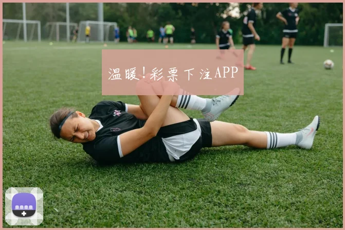温暖!彩票下注APP
