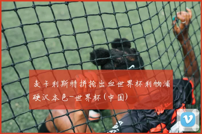 麦卡利斯特拼抢出血世界杯利物浦硬汉本色-世界杯(中国)