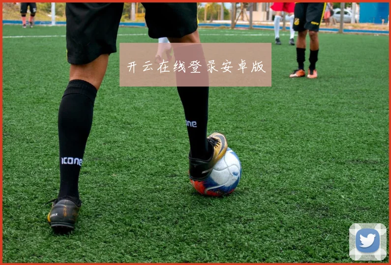 开云在线登录安卓版