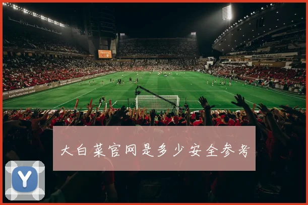 大白菜官网是多少安全参考