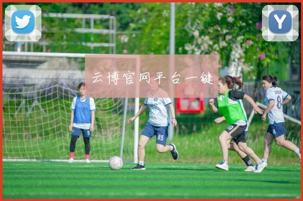 云博官网平台一键
