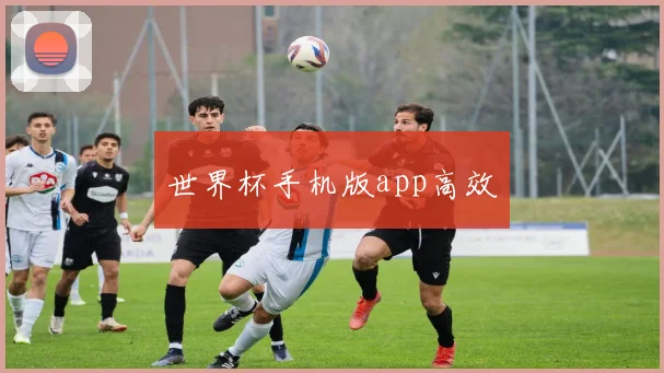 世界杯手机版app高效