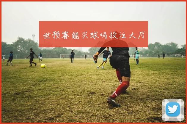 世预赛能买球吗投注大厅