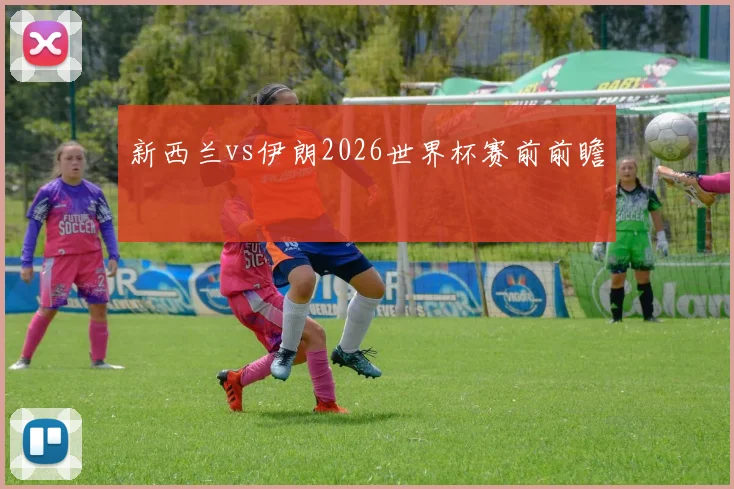 新西兰vs伊朗2026世界杯赛前前瞻