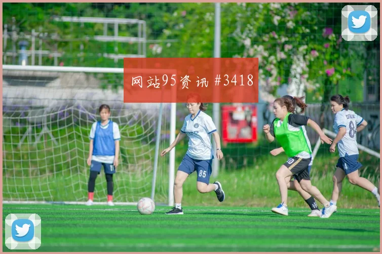 新西兰vs埃及2026世界杯淘汰赛前景