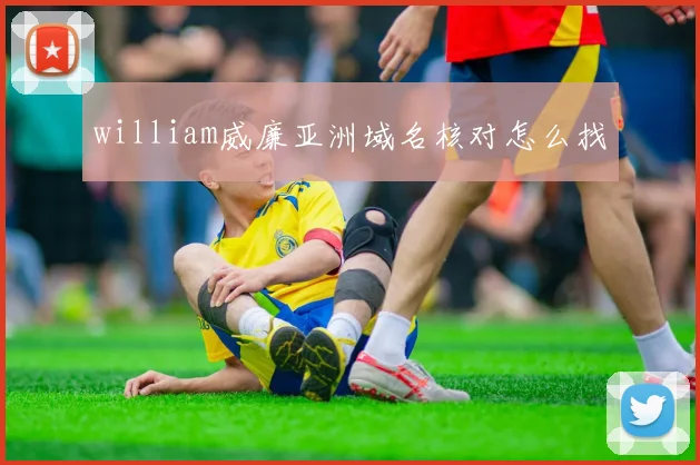 william威廉亚洲域名核对怎么找
