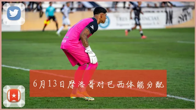 6月13日摩洛哥对巴西体能分配