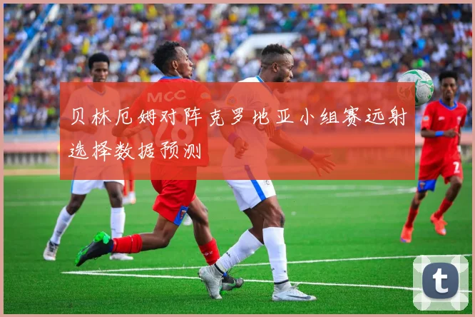 贝林厄姆对阵克罗地亚小组赛远射选择数据预测