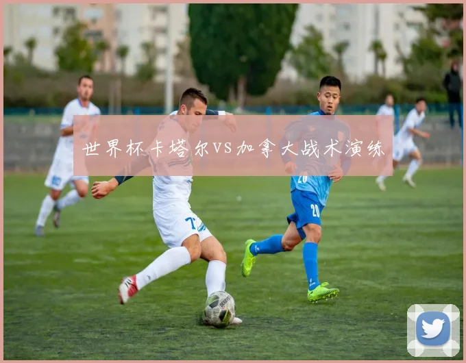 世界杯卡塔尔vs加拿大战术演练